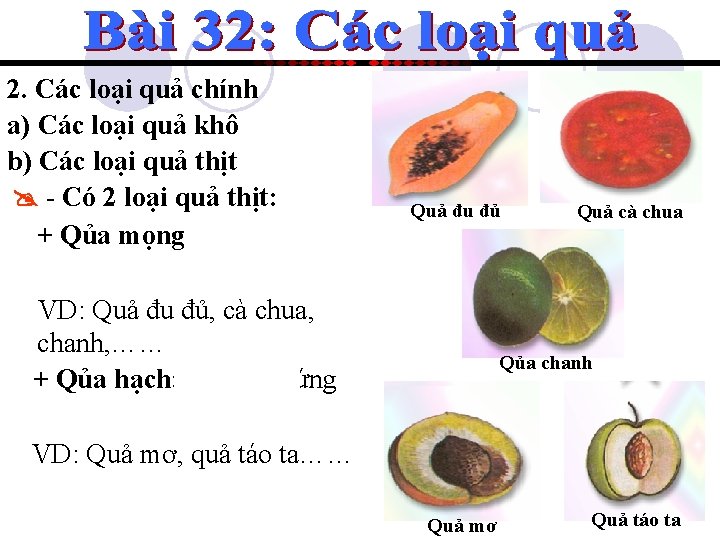 2. Các loại quả chính a) Các loại quả khô b) Các loại quả