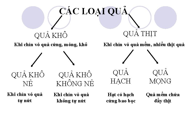 CÁC LOẠI QUẢ KHÔ Khi chín vỏ quả cứng, mỏng, khô QUẢ KHÔ NẺ