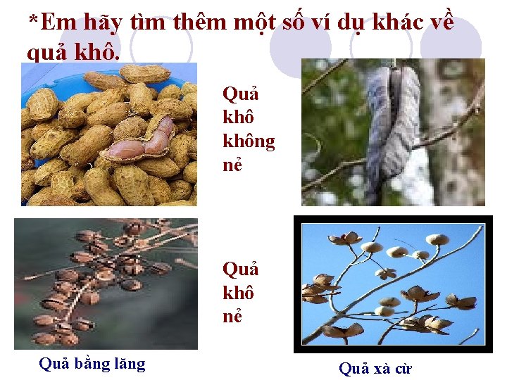 *Em hãy tìm thêm một số ví dụ khác về quả khô. Quả không