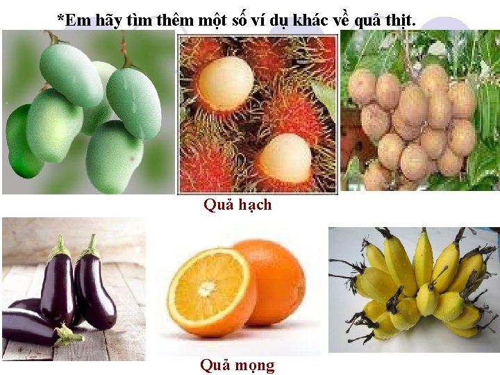 *Em hãy tìm thêm một số ví dụ khác về quả thịt. Quả hạch