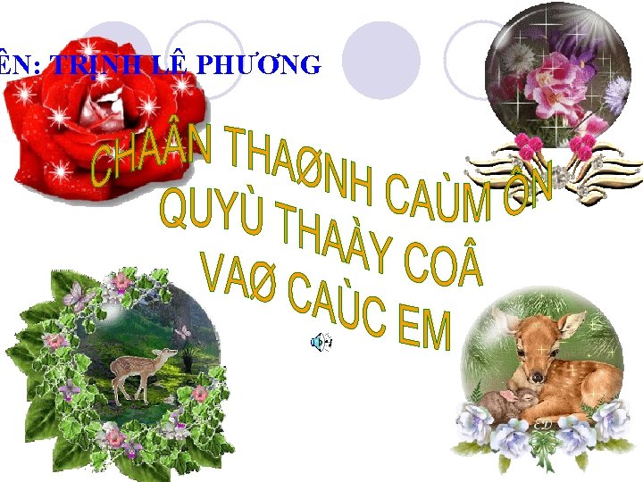 ÊN: TRỊNH LÊ PHƯƠNG 
