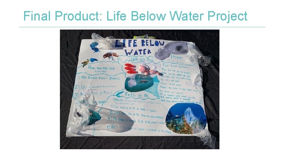 Final Product: Life Below Water Project 
