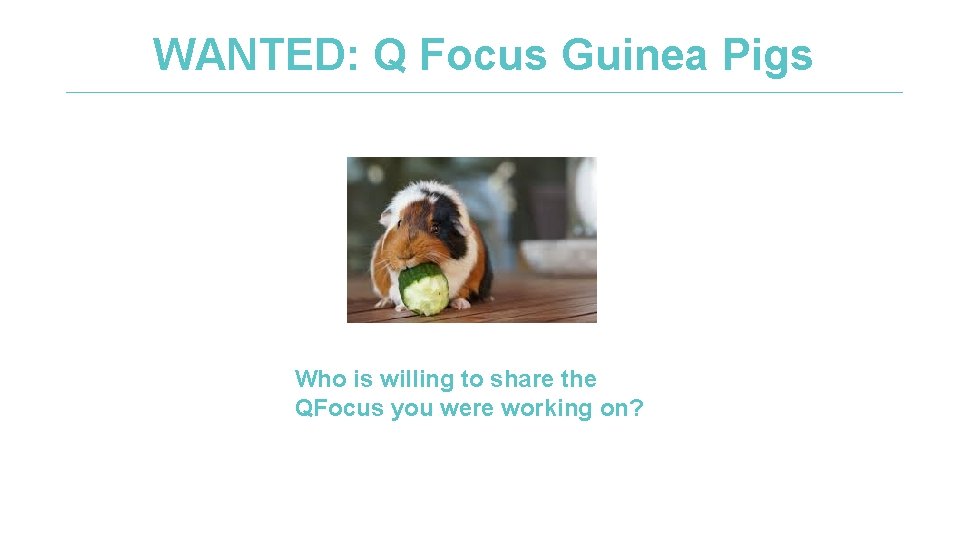 WANTED: Q Focus Guinea Pigs Who is willing to share the QFocus you were