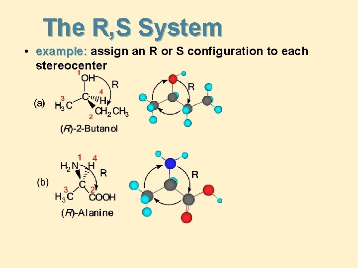 The R, S System • example: assign an R or S configuration to each