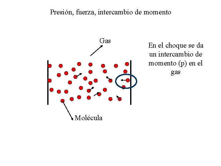 Presión, fuerza, intercambio de momento Gas Molécula En el choque se da un intercambio