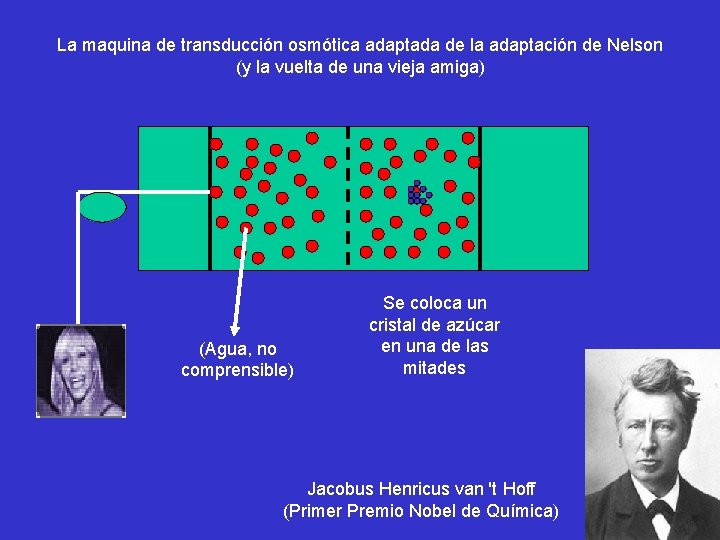 La maquina de transducción osmótica adaptada de la adaptación de Nelson (y la vuelta