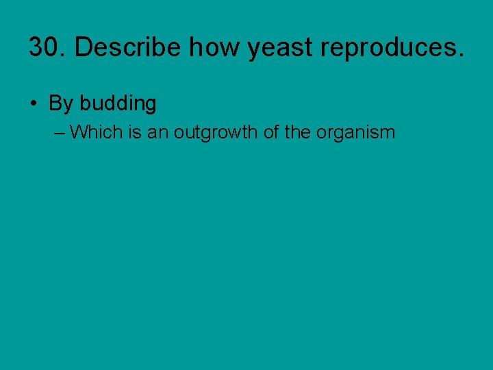30. Describe how yeast reproduces. • By budding – Which is an outgrowth of