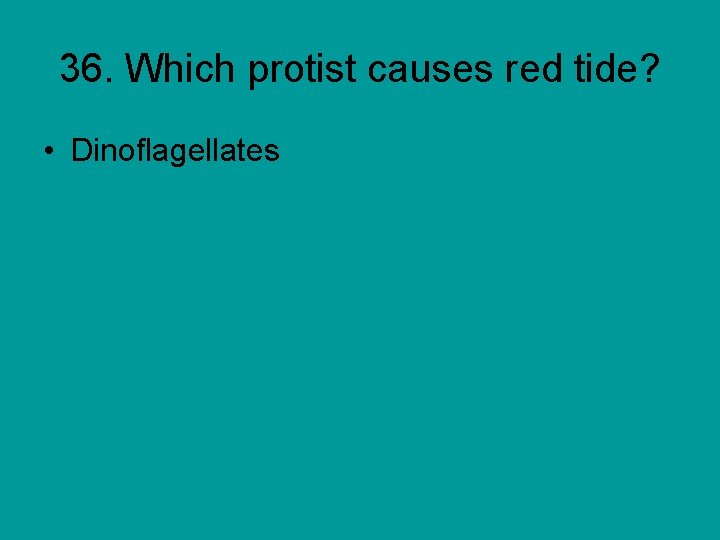 36. Which protist causes red tide? • Dinoflagellates 