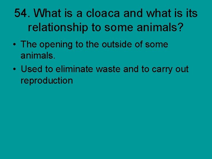 54. What is a cloaca and what is its relationship to some animals? •