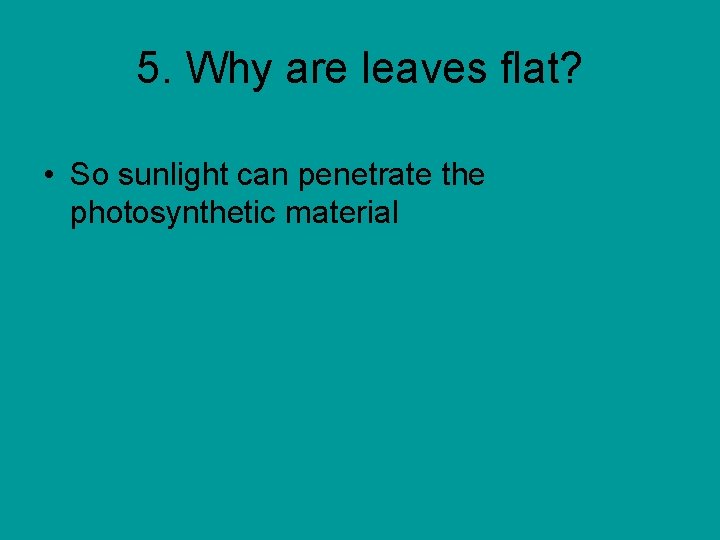 5. Why are leaves flat? • So sunlight can penetrate the photosynthetic material 