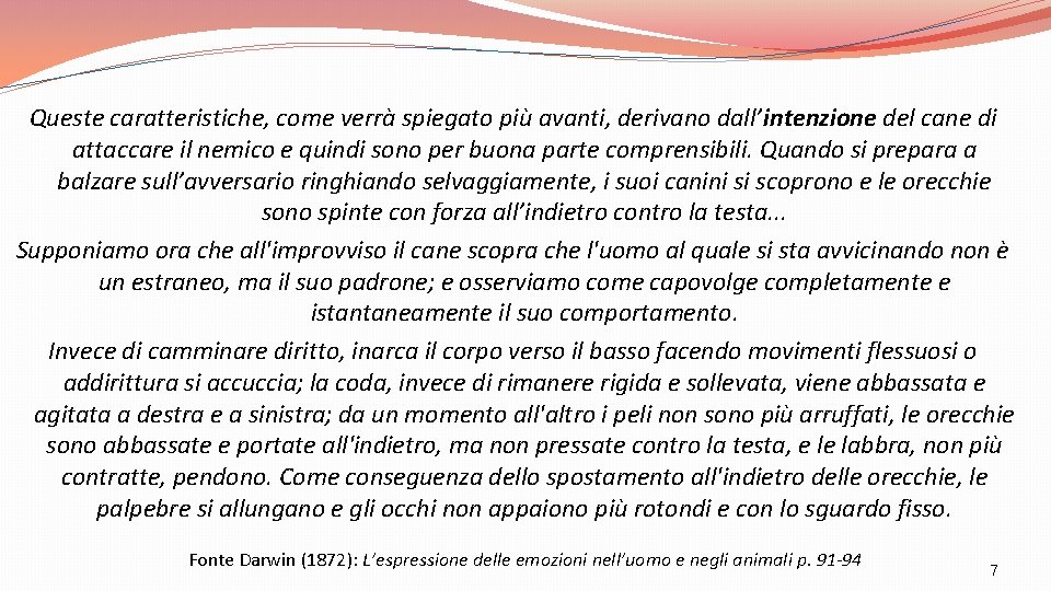 Queste caratteristiche, come verrà spiegato più avanti, derivano dall’intenzione del cane di attaccare il