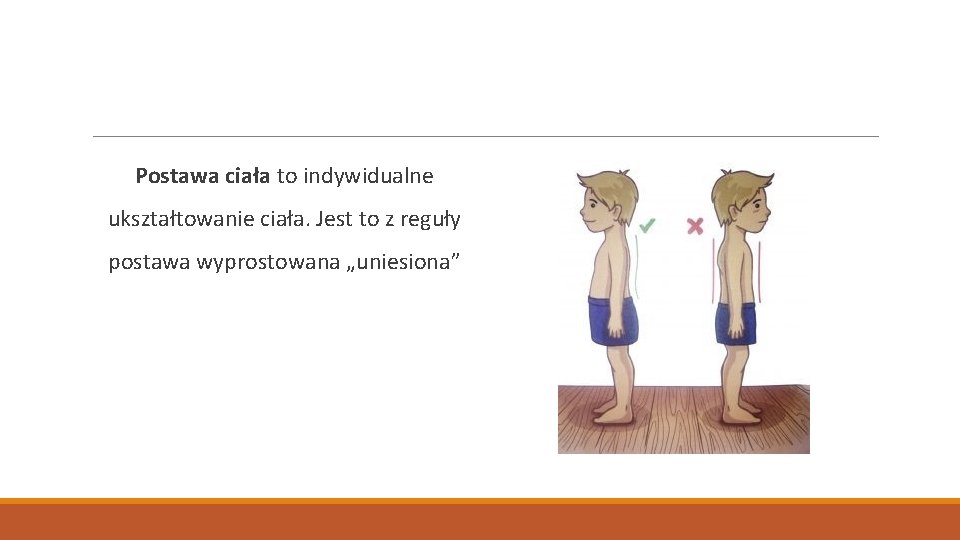 Postawa ciała to indywidualne ukształtowanie ciała. Jest to z reguły postawa wyprostowana „uniesiona” 