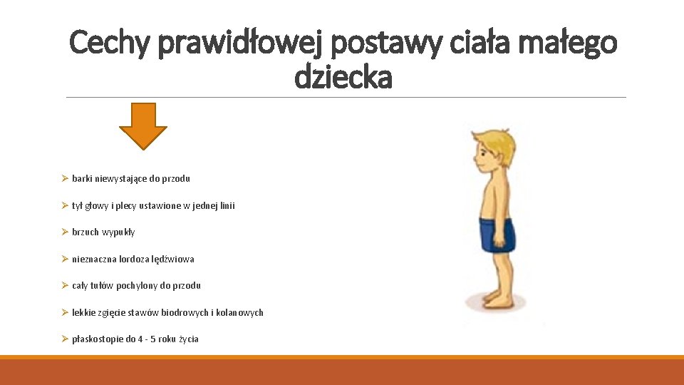 Cechy prawidłowej postawy ciała małego dziecka Ø barki niewystające do przodu Ø tył głowy