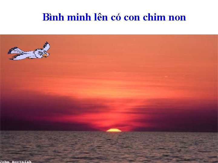 Bình minh lên có con chim non 