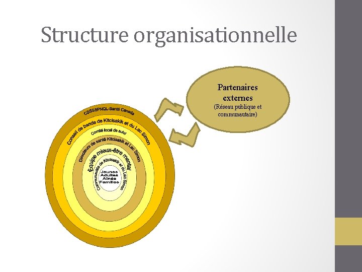 Structure organisationnelle Partenaires externes (Réseau publique et communautaire) 