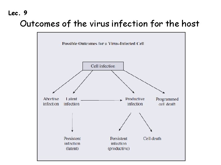 Lec. 9 Outcomes of the virus infection for the host 