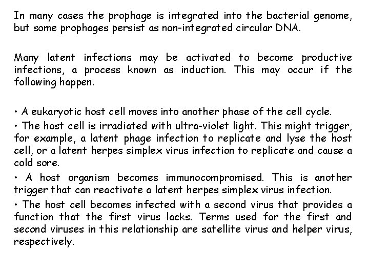 In many cases the prophage is integrated into the bacterial genome, but some prophages