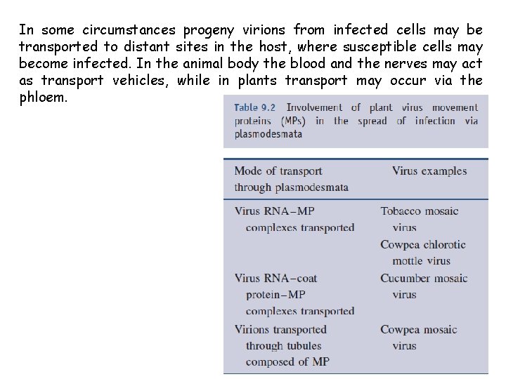 In some circumstances progeny virions from infected cells may be transported to distant sites