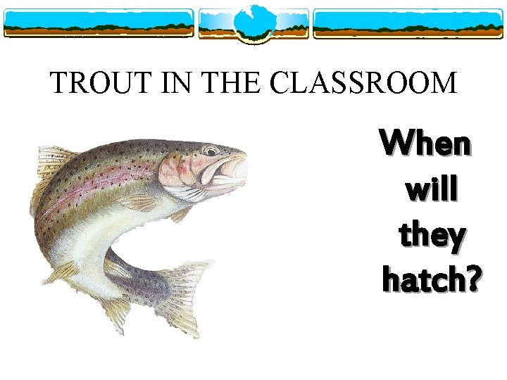 TROUT IN THE CLASSROOM When will they hatch? 