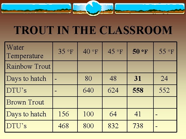 TROUT IN THE CLASSROOM Water Temperature Rainbow Trout 35 °F 40 °F 45 °F