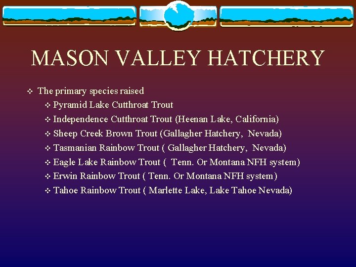 MASON VALLEY HATCHERY v The primary species raised v Pyramid Lake Cutthroat Trout v