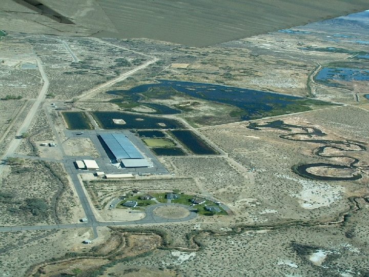 MASON VALLEY HATCHERY 