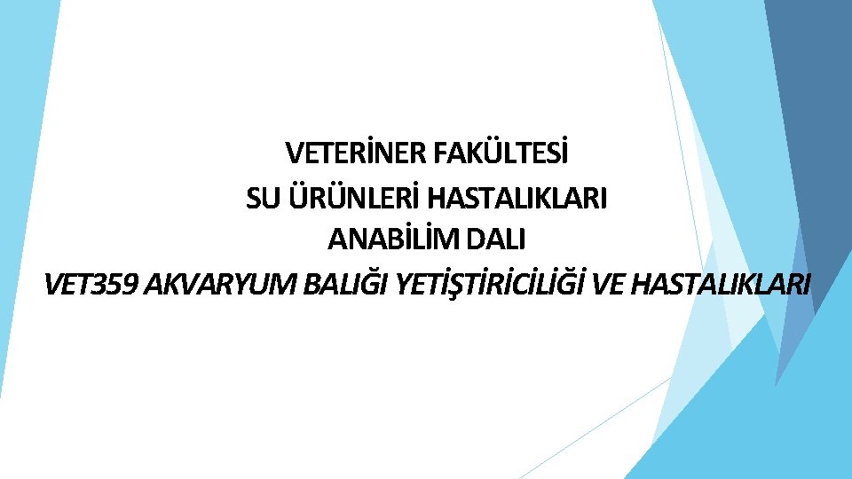 VETERİNER FAKÜLTESİ SU ÜRÜNLERİ HASTALIKLARI ANABİLİM DALI VET 359 AKVARYUM BALIĞI YETİŞTİRİCİLİĞİ VE HASTALIKLARI