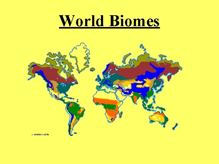 World Biomes 
