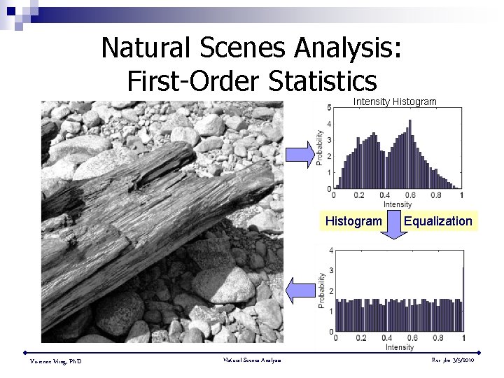 Natural Scenes Analysis: First-Order Statistics Intensity Histogram Vivienne Ming, Ph. D. Natural Scenes Analysis