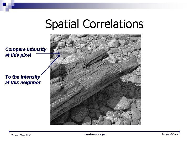 Spatial Correlations Compare intensity at this pixel To the intensity at this neighbor Vivienne