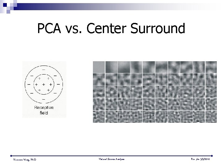 PCA vs. Center Surround Vivienne Ming, Ph. D. Natural Scenes Analysis Rev jlm 3/5/2010