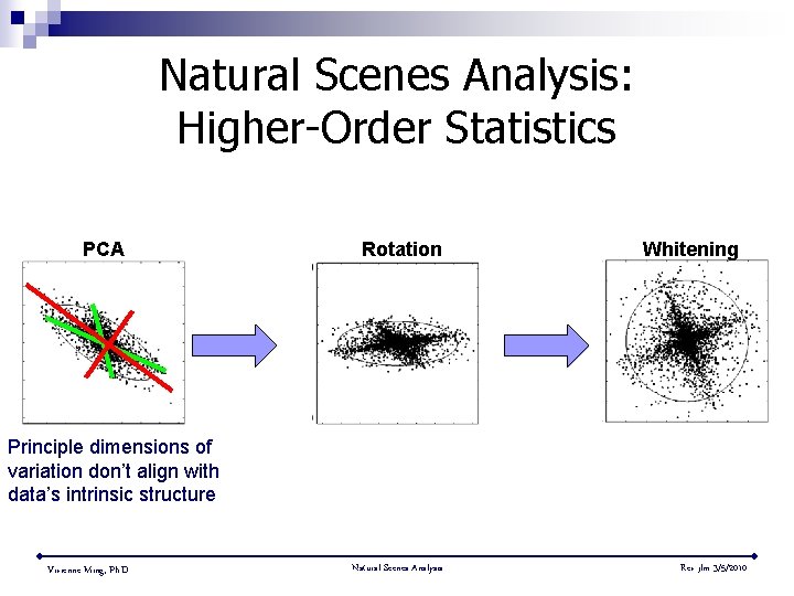 Natural Scenes Analysis: Higher-Order Statistics PCA Rotation Whitening Principle dimensions of variation don’t align