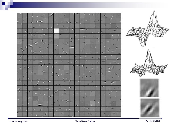 ? Vivienne Ming, Ph. D. Natural Scenes Analysis Rev jlm 3/5/2010 