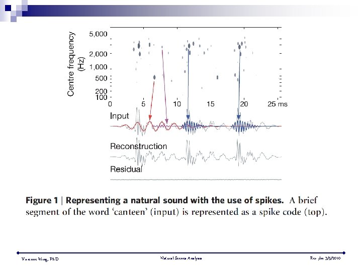 Vivienne Ming, Ph. D. Natural Scenes Analysis Rev jlm 3/5/2010 