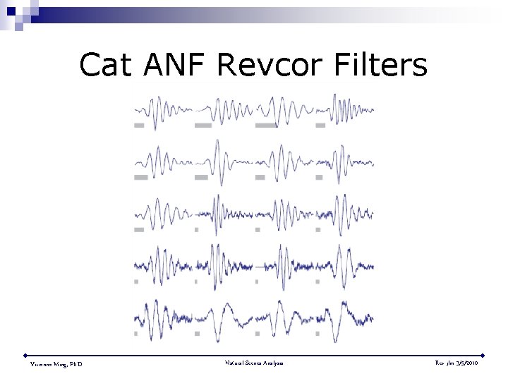 Cat ANF Revcor Filters Vivienne Ming, Ph. D. Natural Scenes Analysis Rev jlm 3/5/2010