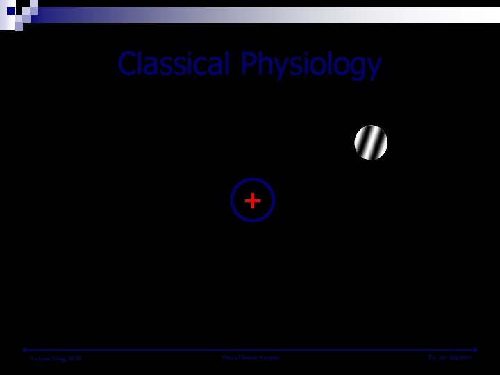 Classical Physiology + Vivienne Ming, Ph. D. Natural Scenes Analysis Rev jlm 3/5/2010 