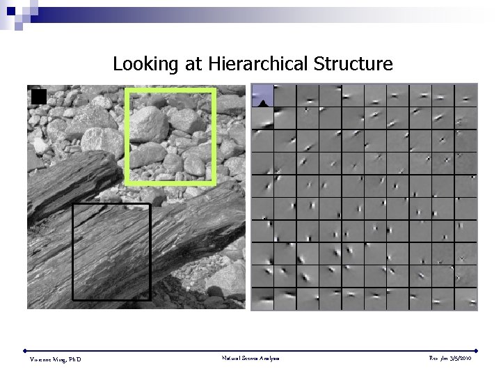 Looking at Hierarchical Structure Vivienne Ming, Ph. D. Natural Scenes Analysis Rev jlm 3/5/2010