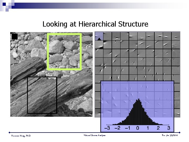 Looking at Hierarchical Structure Vivienne Ming, Ph. D. Natural Scenes Analysis Rev jlm 3/5/2010