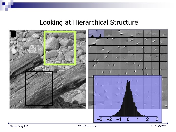 Looking at Hierarchical Structure Vivienne Ming, Ph. D. Natural Scenes Analysis Rev jlm 3/5/2010