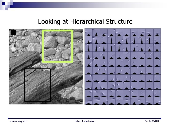 Looking at Hierarchical Structure Vivienne Ming, Ph. D. Natural Scenes Analysis Rev jlm 3/5/2010
