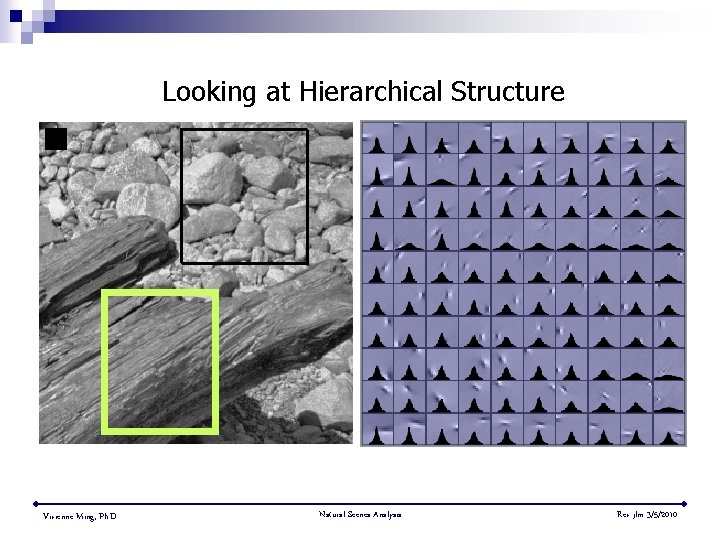 Looking at Hierarchical Structure Vivienne Ming, Ph. D. Natural Scenes Analysis Rev jlm 3/5/2010