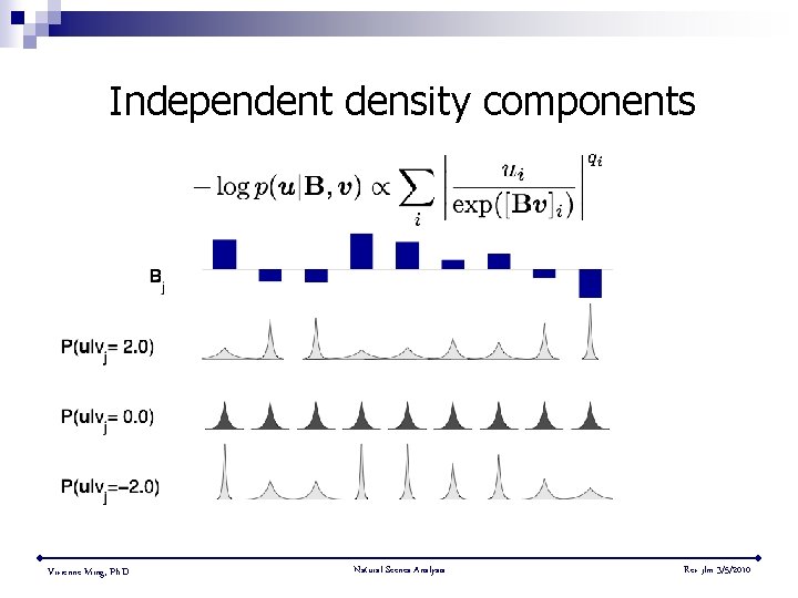 Independent density components Vivienne Ming, Ph. D. Natural Scenes Analysis Rev jlm 3/5/2010 