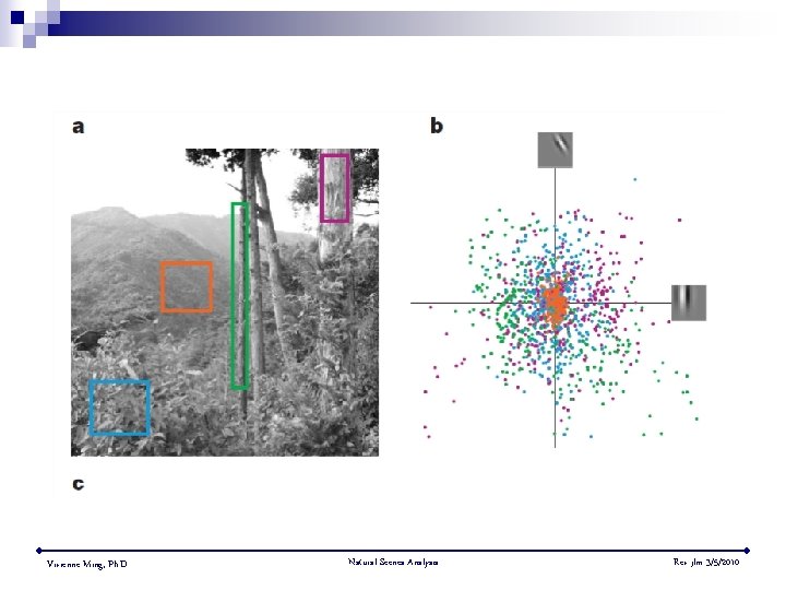Vivienne Ming, Ph. D. Natural Scenes Analysis Rev jlm 3/5/2010 