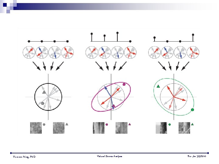 Vivienne Ming, Ph. D. Natural Scenes Analysis Rev jlm 3/5/2010 