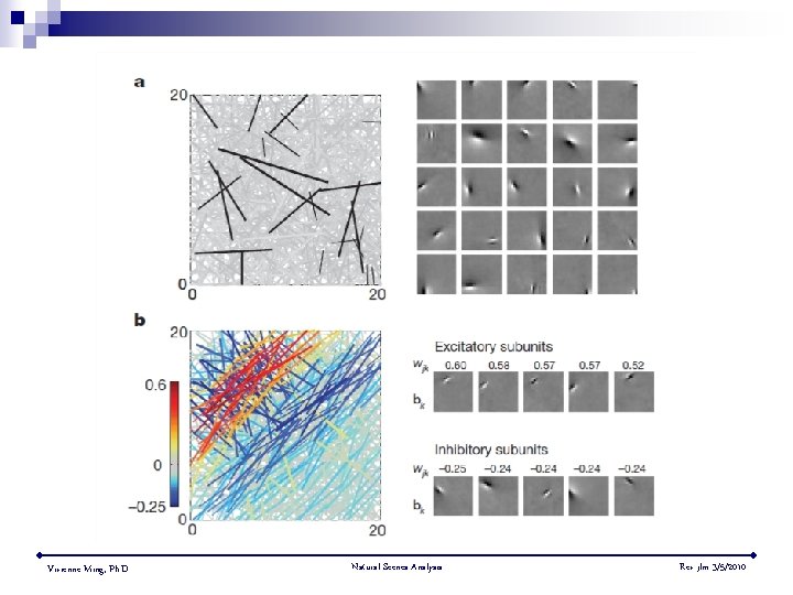 Vivienne Ming, Ph. D. Natural Scenes Analysis Rev jlm 3/5/2010 