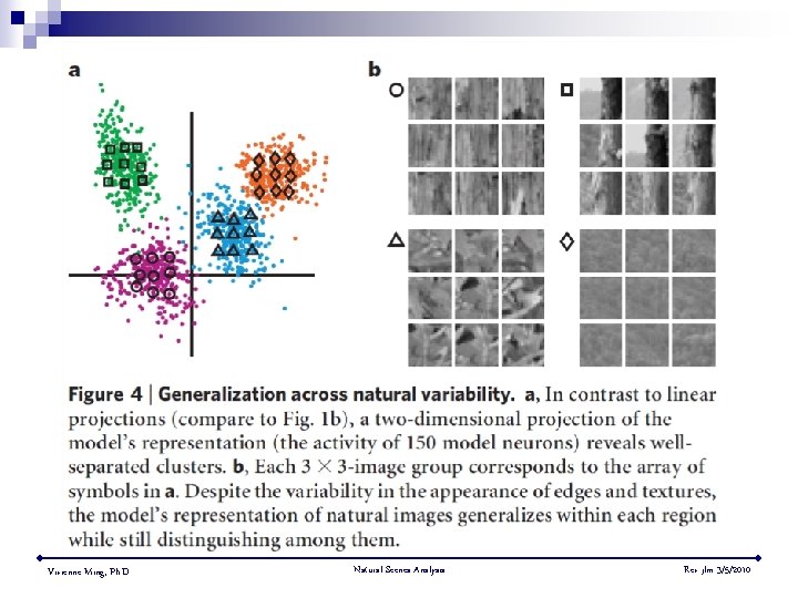 Vivienne Ming, Ph. D. Natural Scenes Analysis Rev jlm 3/5/2010 