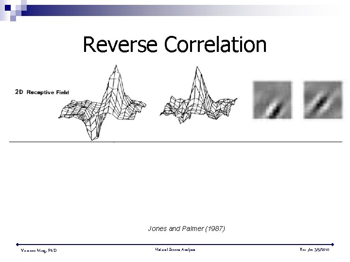 Reverse Correlation Jones and Palmer (1987) Vivienne Ming, Ph. D. Natural Scenes Analysis Rev