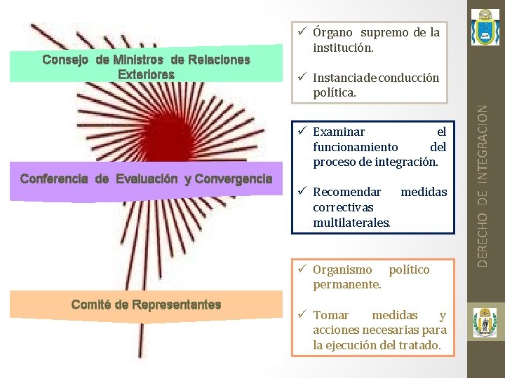 ü Instancia de conducción política. ü Examinar el funcionamiento del proceso de integración. Conferencia