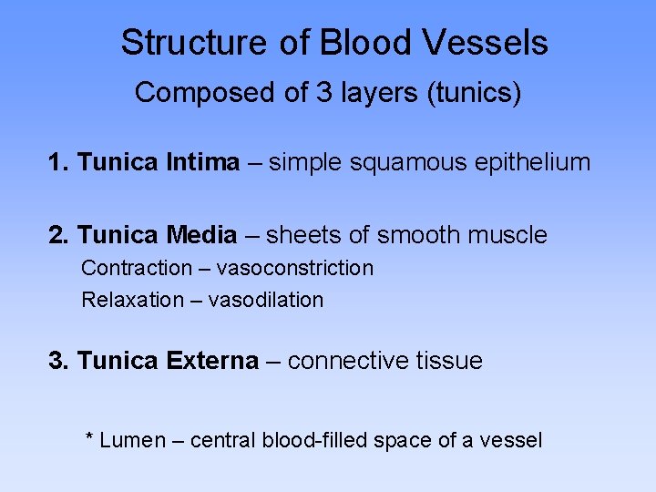 Structure of Blood Vessels Composed of 3 layers (tunics) 1. Tunica Intima – simple