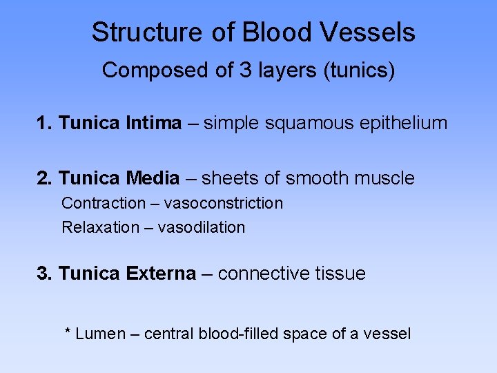 Structure of Blood Vessels Composed of 3 layers (tunics) 1. Tunica Intima – simple